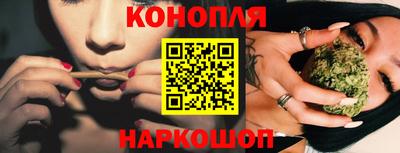 стаф Пенза