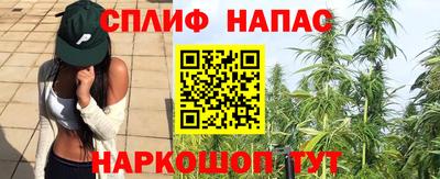 стаф Пенза
